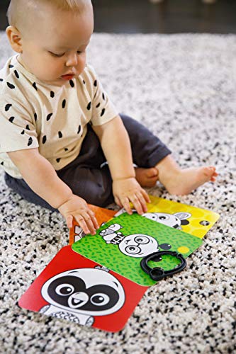 Baby Einstein Activity Mirror with Cards Baby Einstein Activity Mirror with Cards